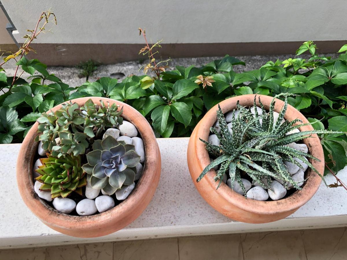 Apartamento Talija *